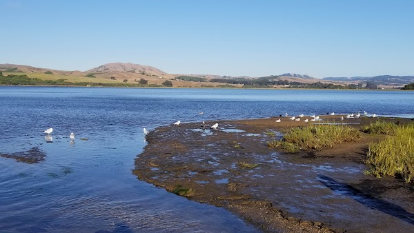 Point Reyes Station 2