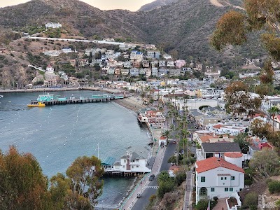 Avalon 1