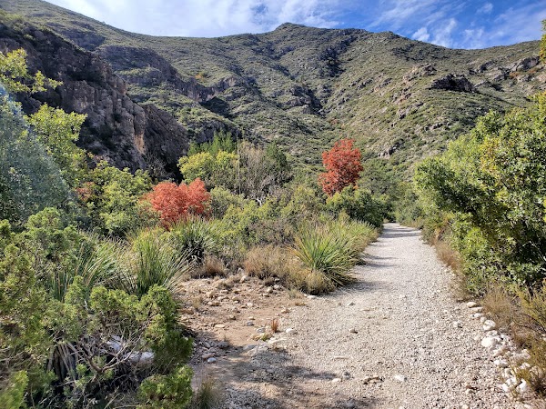 Guadalupe Mountains National Park 2
