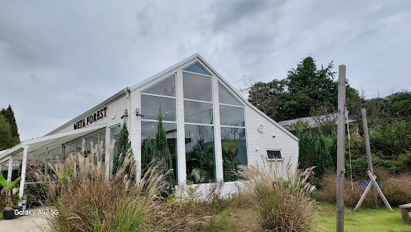 메타포레스트 2