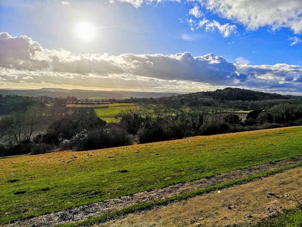 Newland's Corner 1