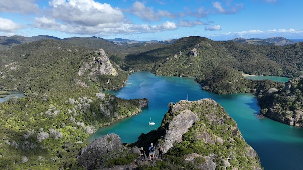 Nz 60