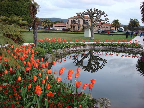 Rotorua 4