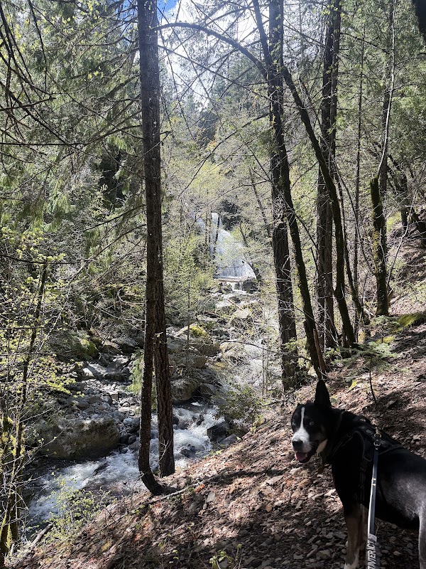 Faery Falls trail head 4