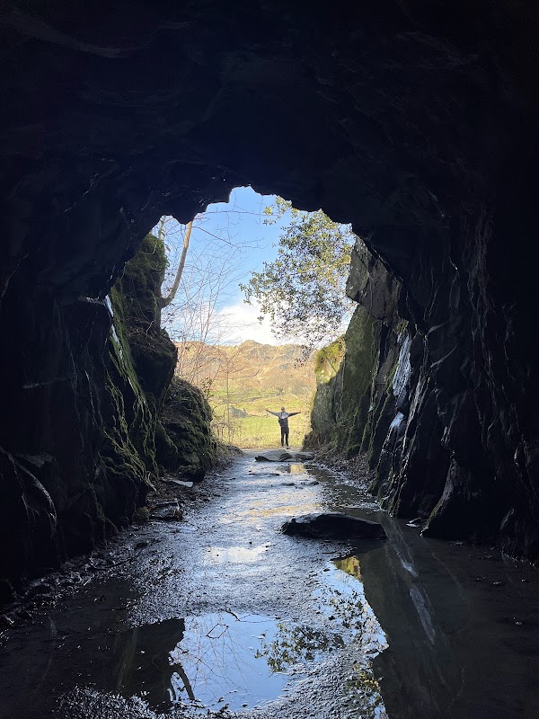 Cathedral Cave 2