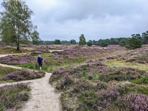 Landgoed Heidestein 5