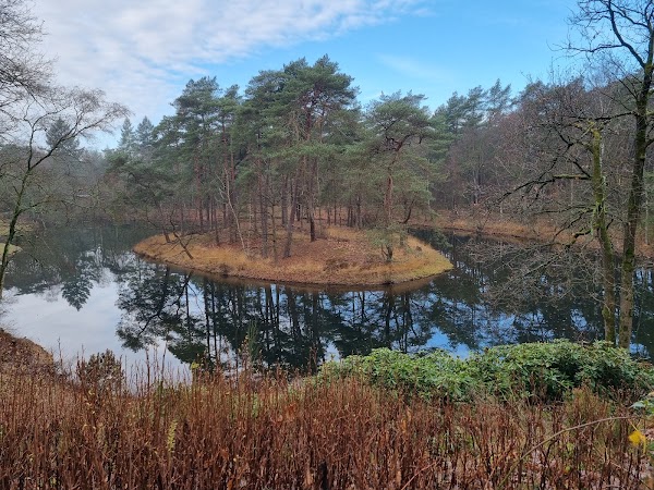 Landgoed Heidestein 4