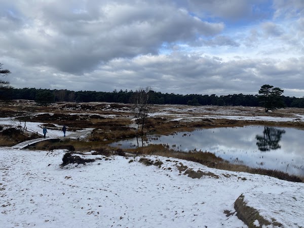 Landgoed Heidestein 3