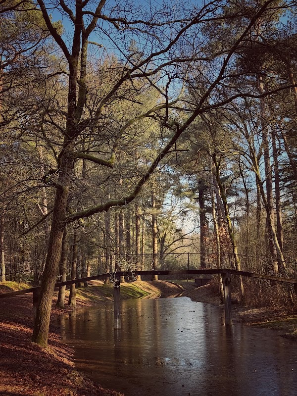 Landgoed Heidestein 2