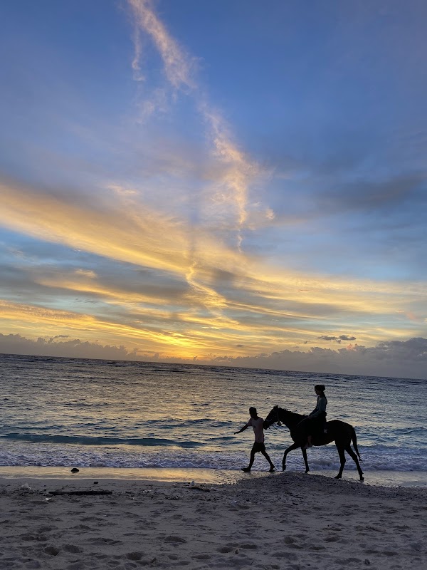 Gili Trawangan Beach 3