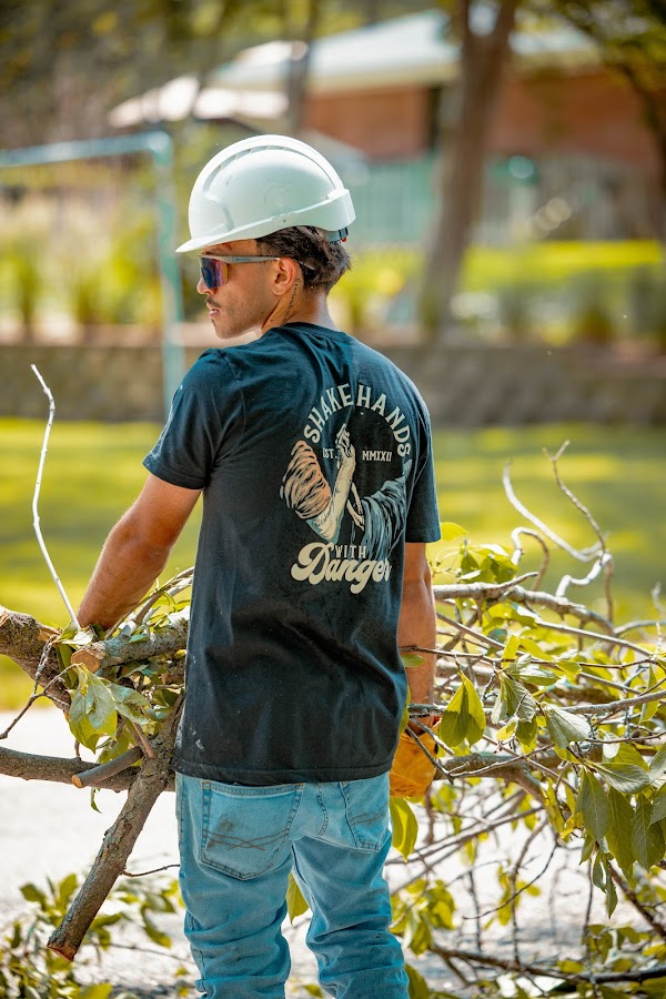 WORKMAN 4
