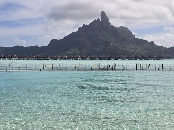 Bora Bora Lagoonarium
