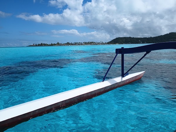Bora Bora Lagoonarium 4