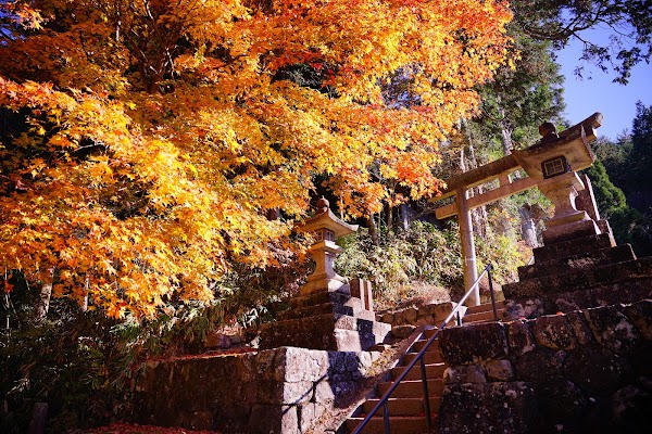 Kumanojinja Shrine 3