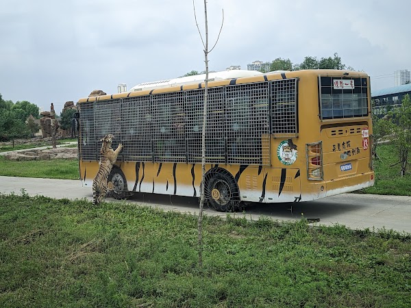 Siberia Tiger Park 3
