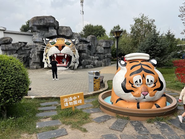 Siberia Tiger Park 2