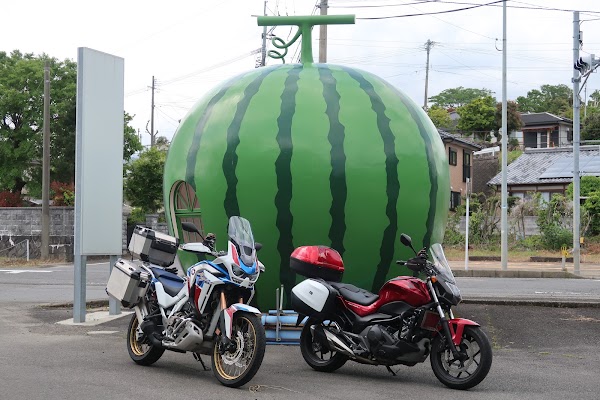 Watermelon Bus Stop 3
