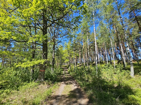 Sörmlandsleden etapp 28 1
