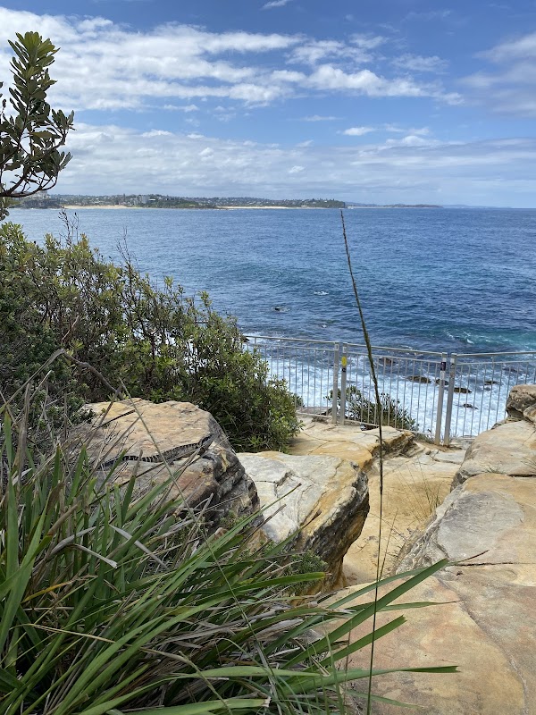 Cabbage Tree Bay 2