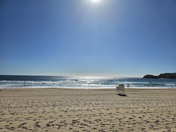 Manly Beach 2