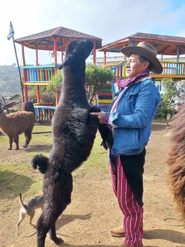 Llamas de los Cuchumatanes 3