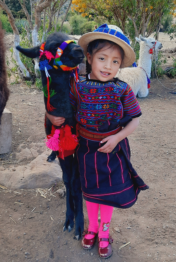 Llamas de los Cuchumatanes 2
