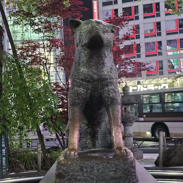 Shibuya Scramble Crossing 5