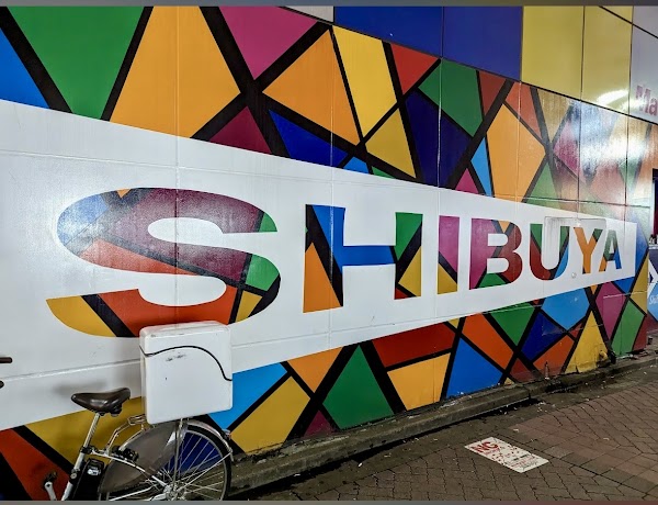 Shibuya Scramble Crossing 3