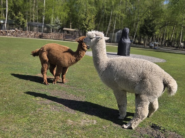 UU Family Farm 3