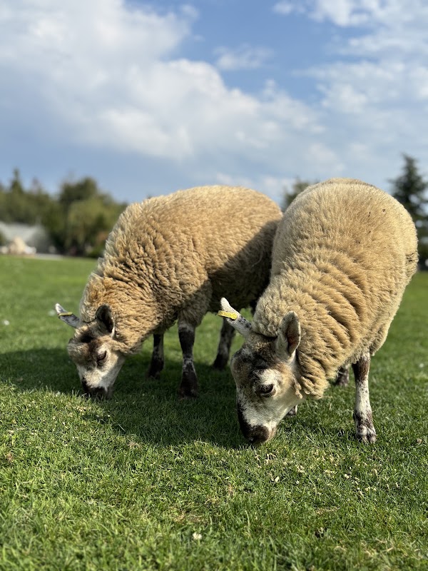 UU Family Farm 2