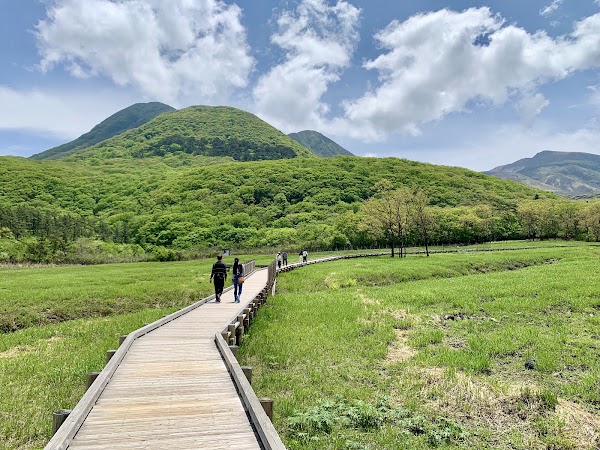Tadewara Wetlands 1