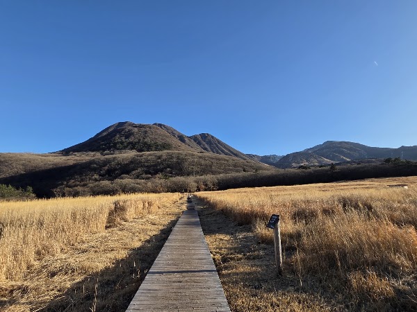 Tadewara Wetlands 5