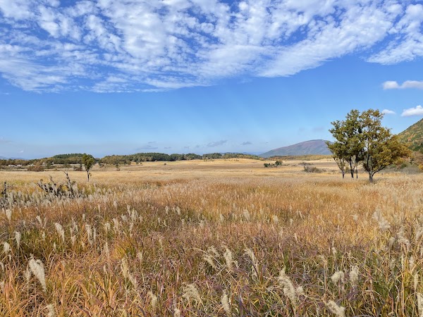 Tadewara Wetlands 3