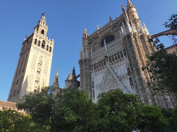 La Giralda 2