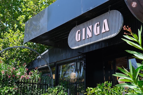 Ginga 1