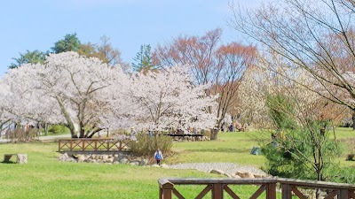 Matsumoto City Alps Park