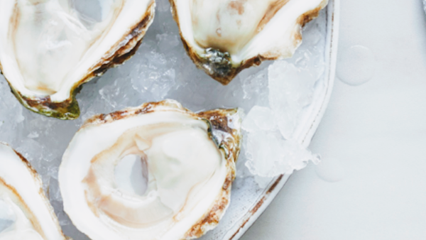 Brackley Bay Oyster Company 5