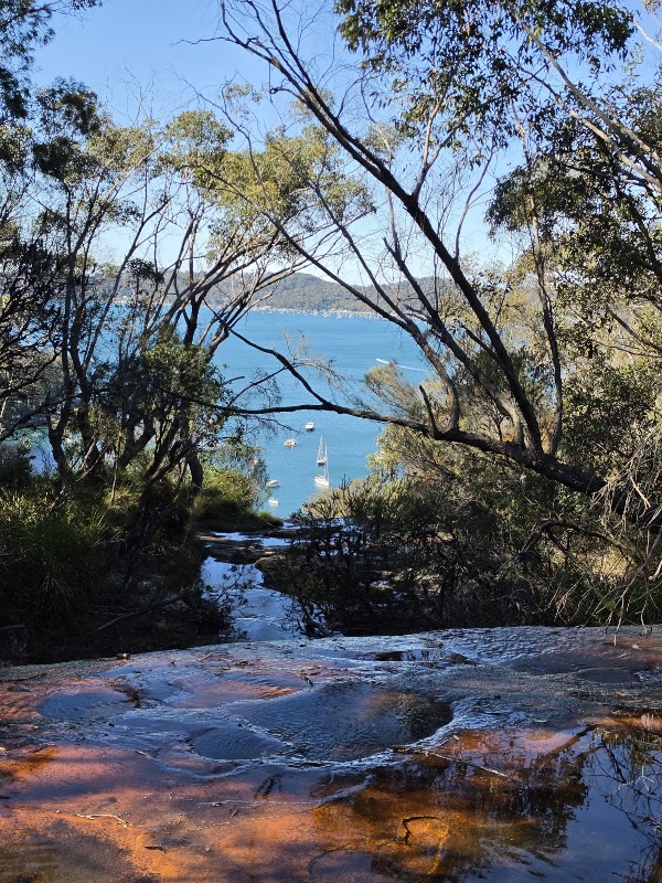 Lovett Bay swimming hole