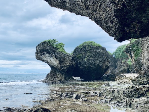 海龜石｜綠蠵龜石 1