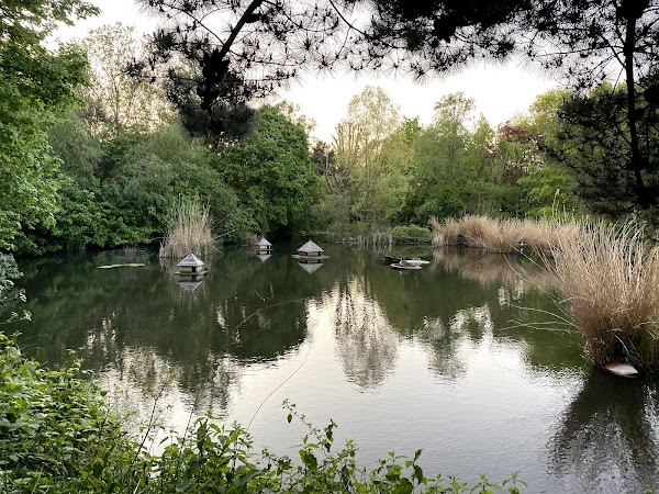 Stave Hill Ecological Park - TCV 3