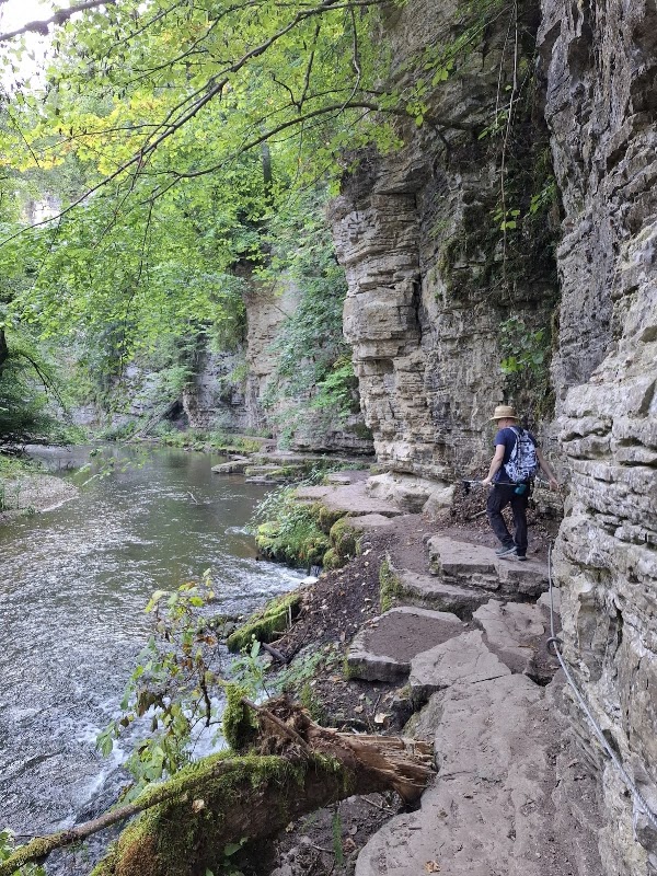 Wutach Gorge 5