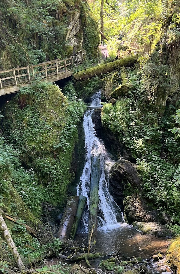 Wutach Gorge 3