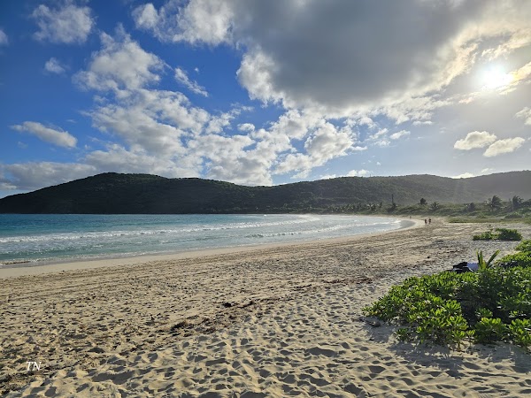 Playa Flamenco Beach