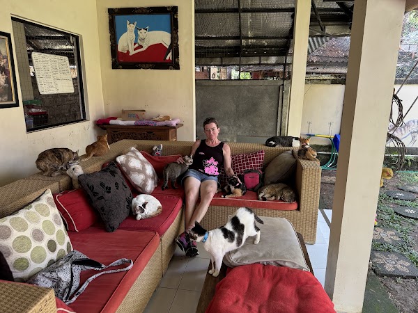 Villa Kitty Foundation 2