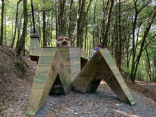 Rossmore Forest Park 1