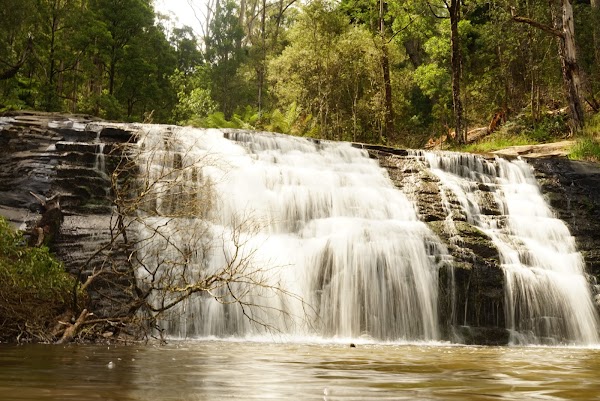 Australia