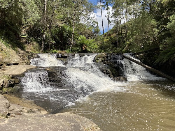 Morwell River Falls Reserve 5