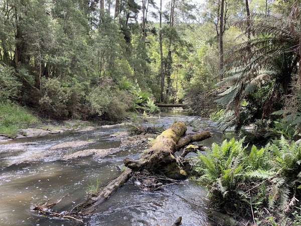 Morwell River Falls Reserve 4