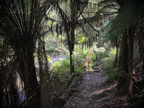 Morwell River Falls Reserve 3