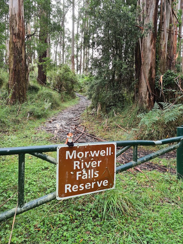 Morwell River Falls Reserve 2